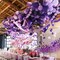 100-Pack Balloon Arch Kit – Lilac, Pastel Pink & Purple Latex Balloons for Baby Shower & Birthday